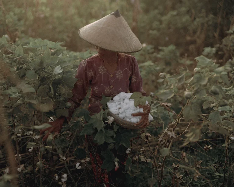 20000103-sukkhacitta-regfarming-mfadli9_cover_1181x945